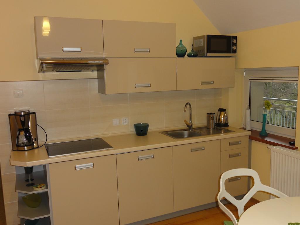 Apartament Bukowa Διαμέρισμα Wisła Δωμάτιο φωτογραφία